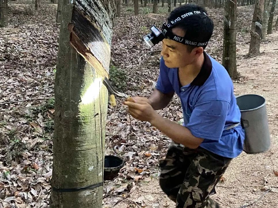 1701917969644072349.jpg 1701917969644072349.jpg