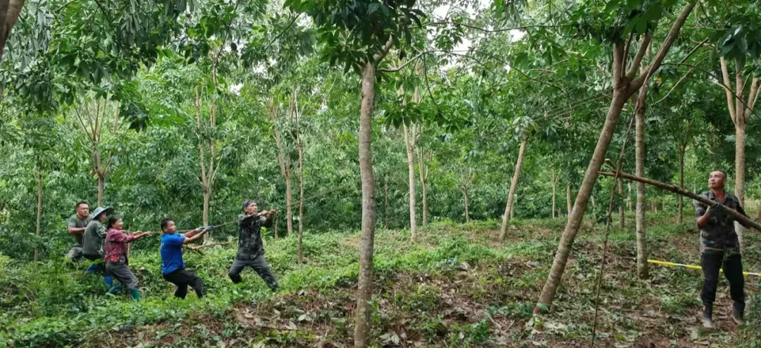 1726282316233089862.jpg 1726282316233089862.jpg