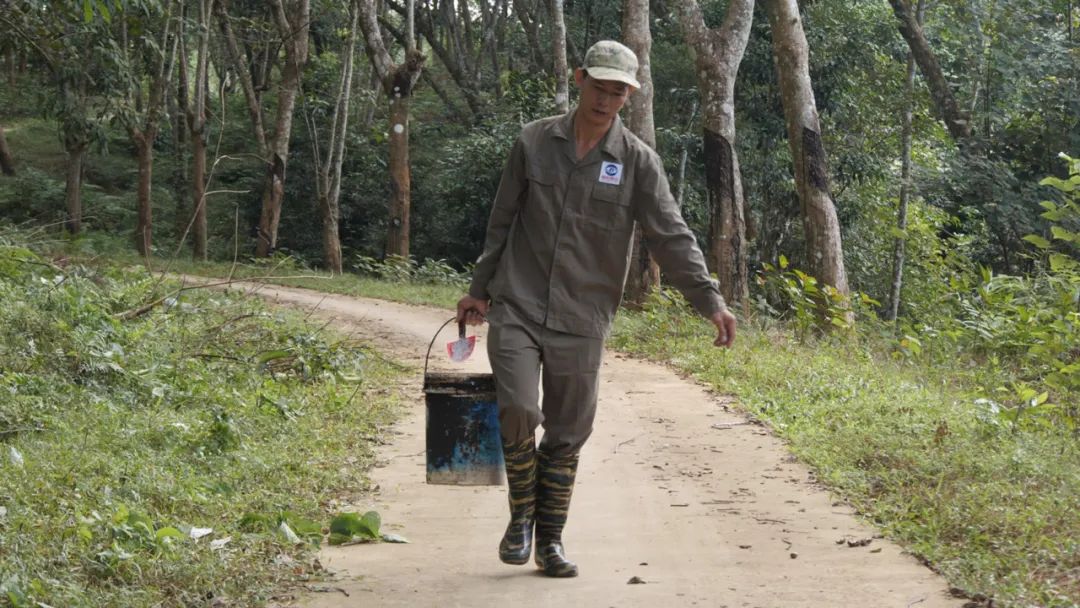 1747624603817056772.jpg 1747624603817056772.jpg