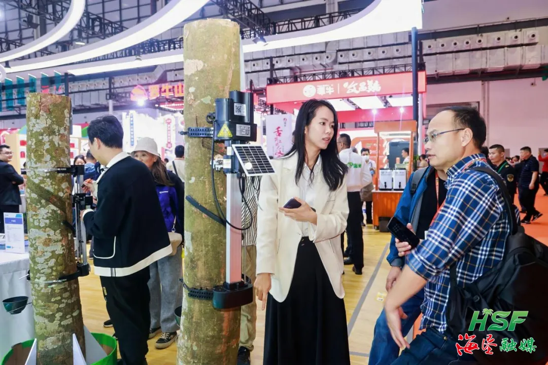 1765031386457037348.jpg 1765031386457037348.jpg